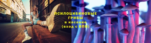 прущая мука Надым