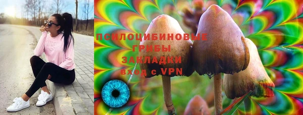 винт Нея
