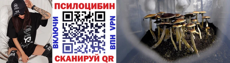 Галлюциногенные грибы MAGIC MUSHROOMS  кракен как войти  Невельск  как найти закладки 